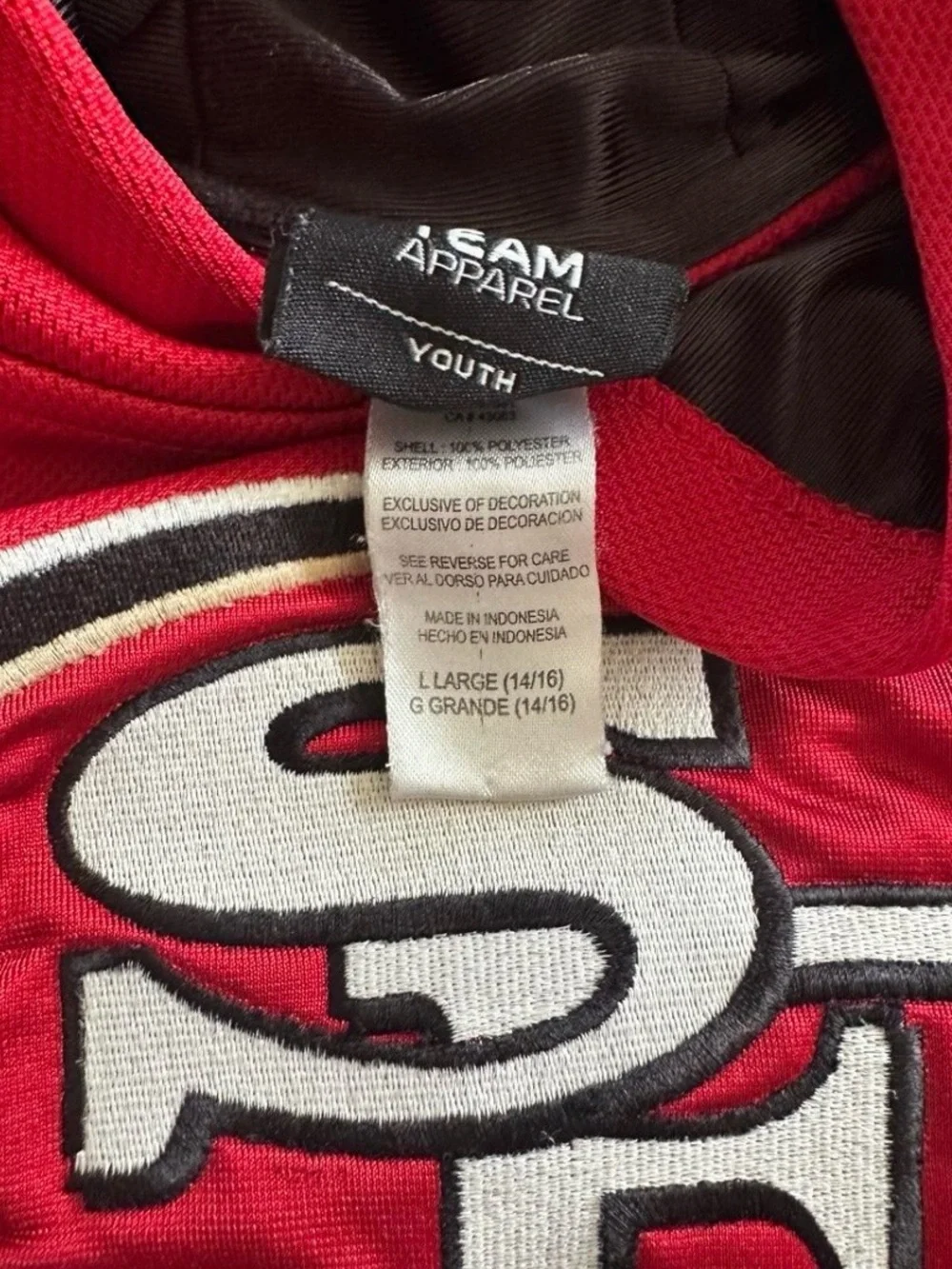 Team Apparel Red & Black SF 49ers Youth Hoodie